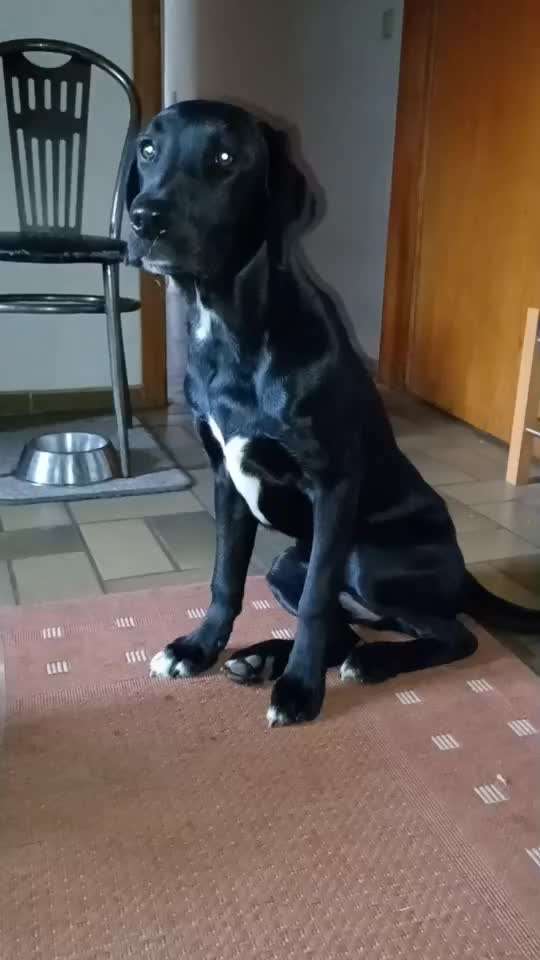 Ruhe ab 22 uhr-Beitrag-Bild