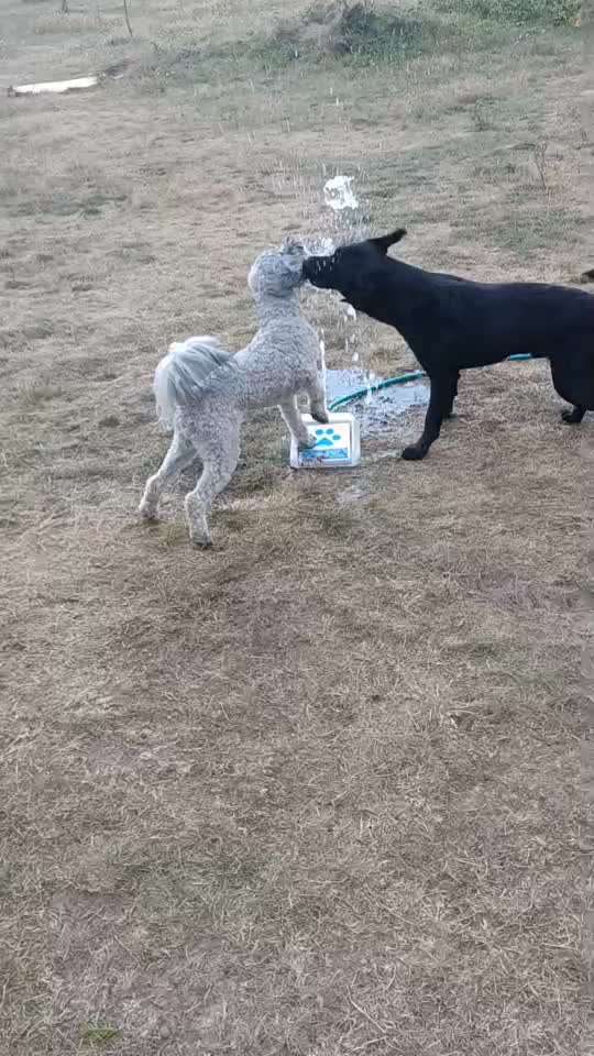 Abkühlung im Sommer-Beitrag-Bild