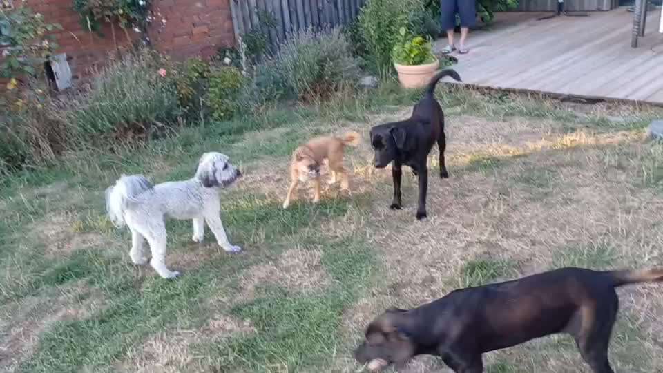 Groß oder Klein?-Beitrag-Bild