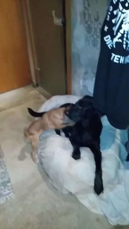 Groß oder Klein?-Beitrag-Bild