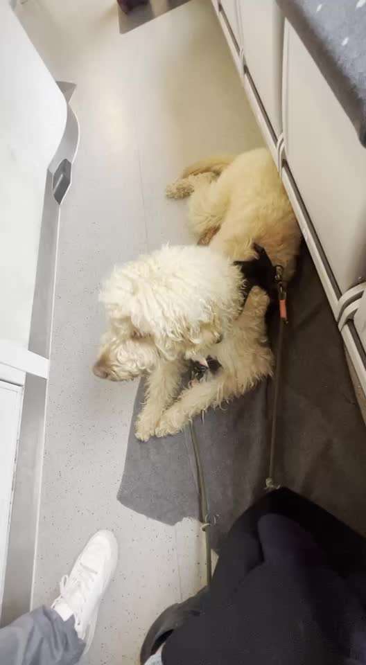 Erzählt eure Erfolgsstorys!-Beitrag-Bild