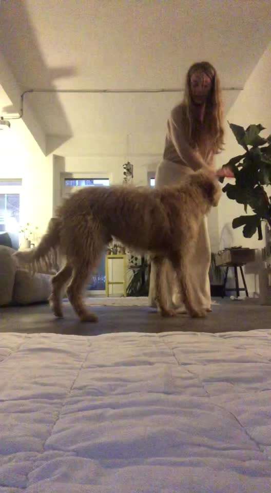 Trick Challenge Nr. 8-Beitrag-Bild