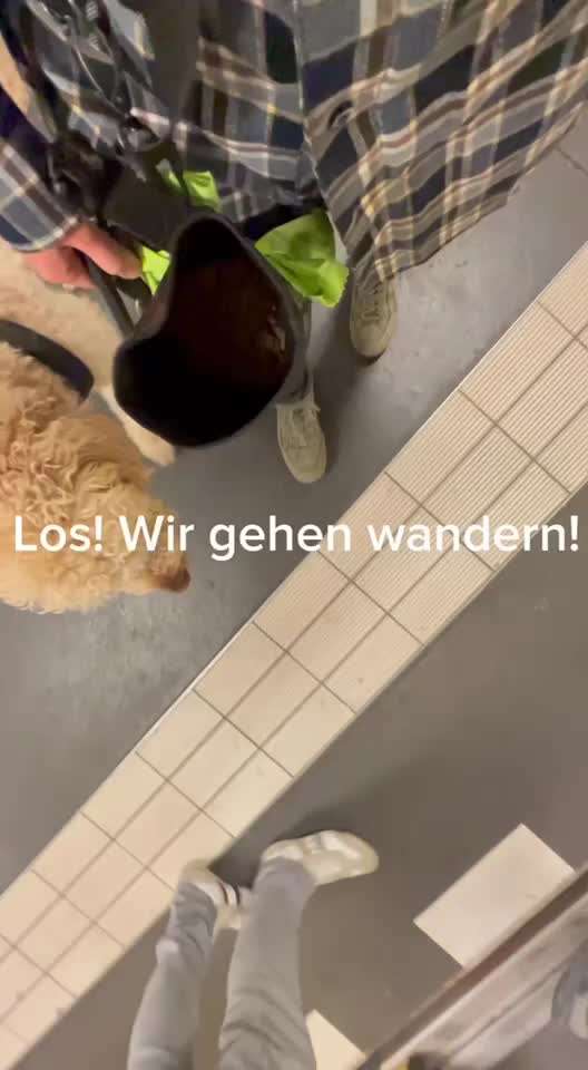 23. Kurzgeschichten - Auf zu neuen Abenteuern-Beitrag-Bild