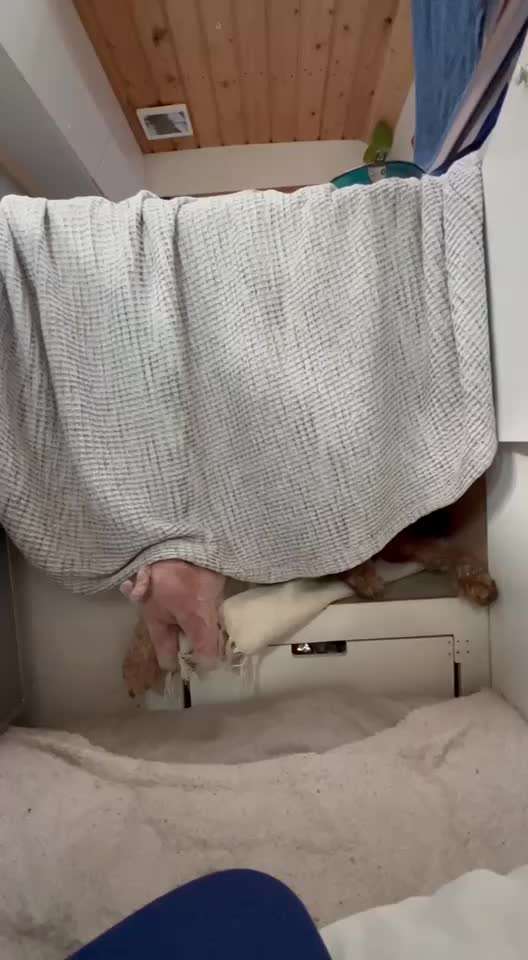 55. Video Challange: lustiges Video/Lieblingsvideo-Beitrag-Bild