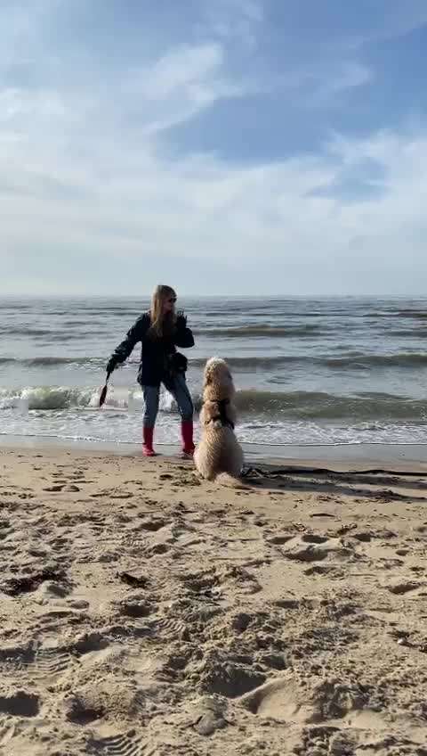 Urlaub mit Hund - Hat jemand Empfehlungen?-Beitrag-Bild