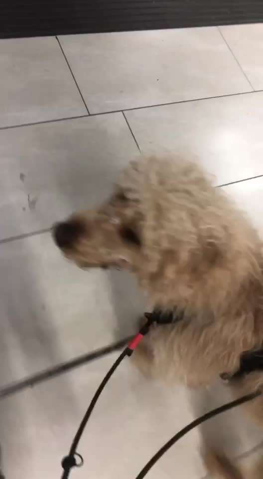 Bright side of life! Schönwetter-Thread-Beitrag-Bild