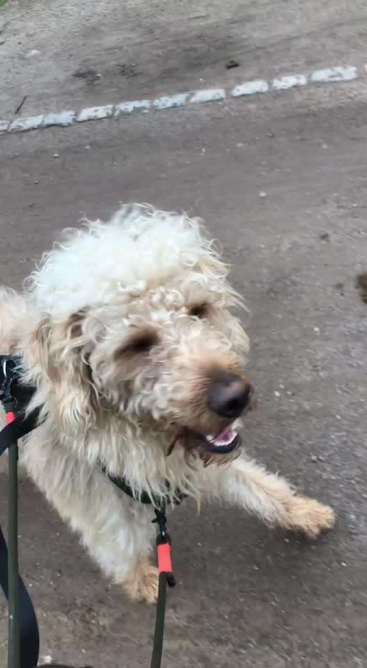 Erzählt eure Erfolgsstorys!-Beitrag-Bild