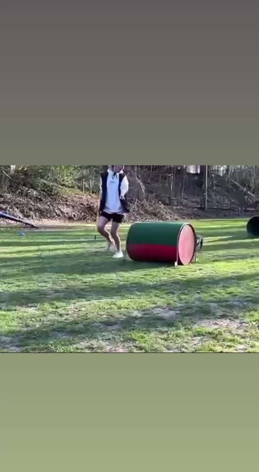 Hundesport mit Tierschutzhund-Beitrag-Bild