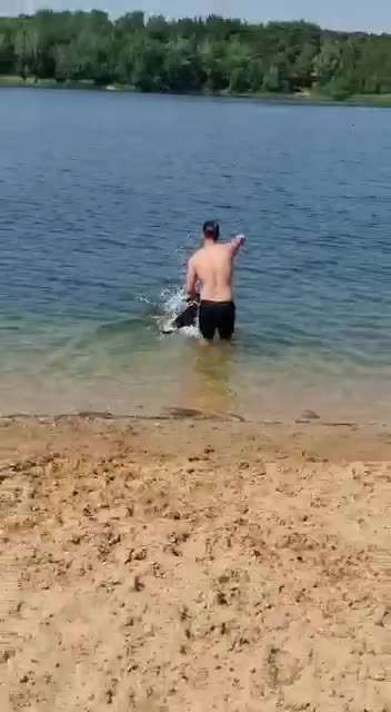 Deutsche Doggen Besitzer zeigt euch-Beitrag-Bild