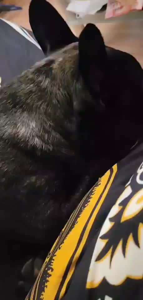 Komisch pochen am hals-Beitrag-Bild