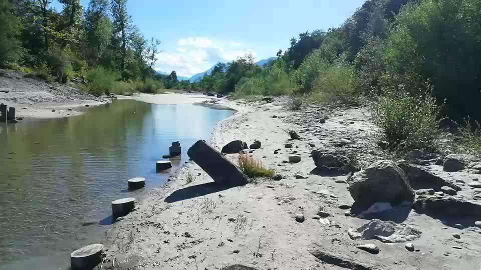 Rhodesian Ridgeback-Beitrag-Bild