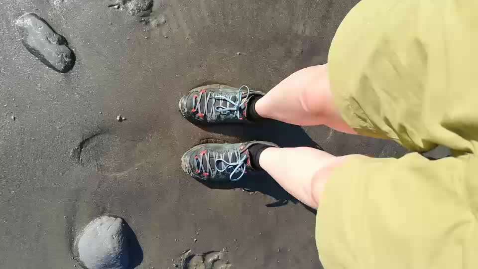 Rhodesian Ridgeback-Beitrag-Bild