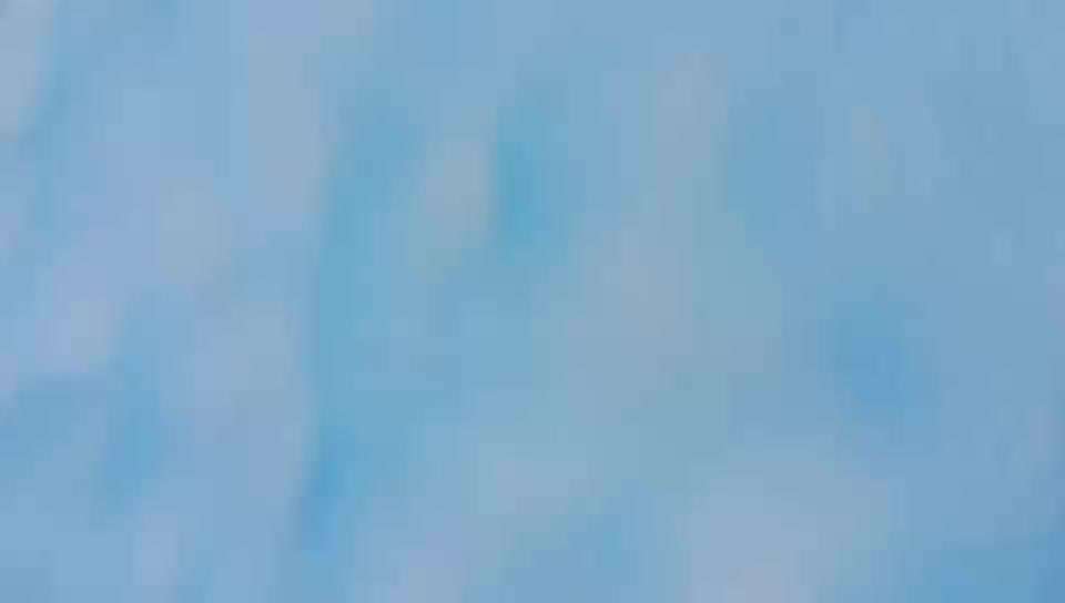 Rhodesian Ridgeback-Beitrag-Bild