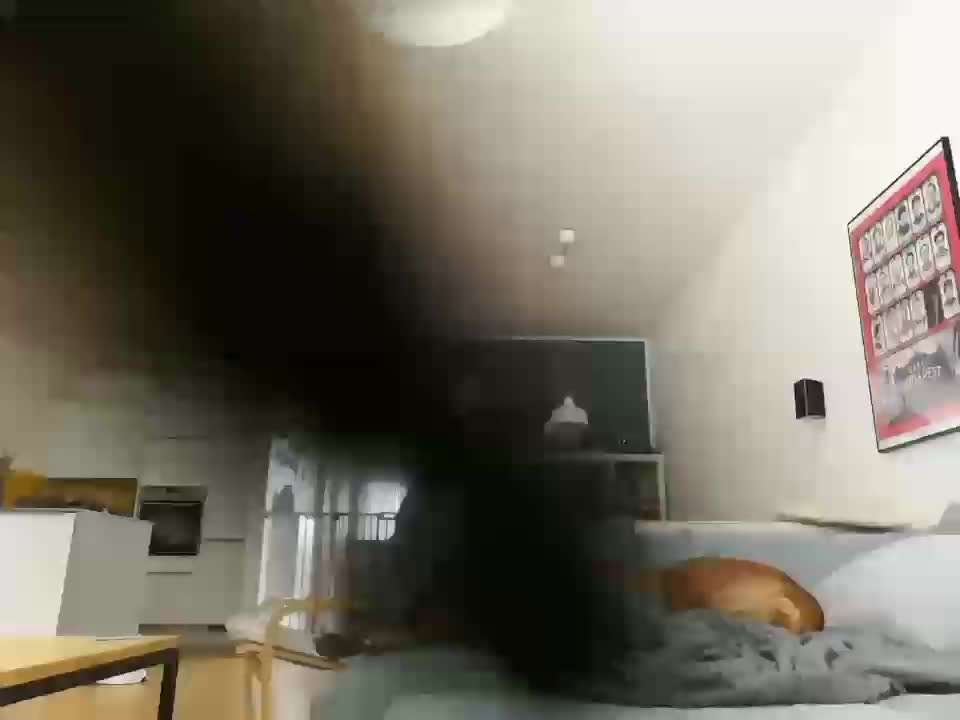 Rhodesian Ridgeback-Beitrag-Bild