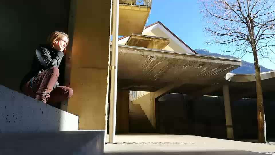 Rhodesian Ridgeback-Beitrag-Bild