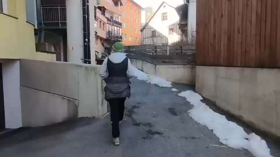 Rhodesian Ridgeback-Beitrag-Bild