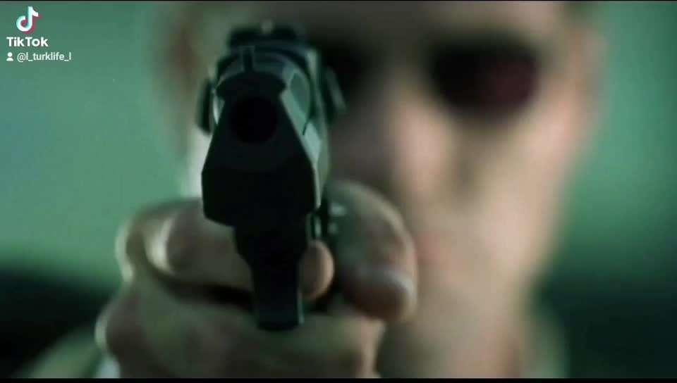 Französische Bulldoggen-Beitrag-Bild