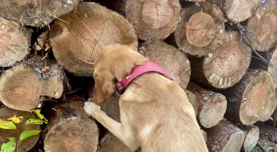 Video Challenge Nr. 4 - Lecker, Lecker-Beitrag-Bild