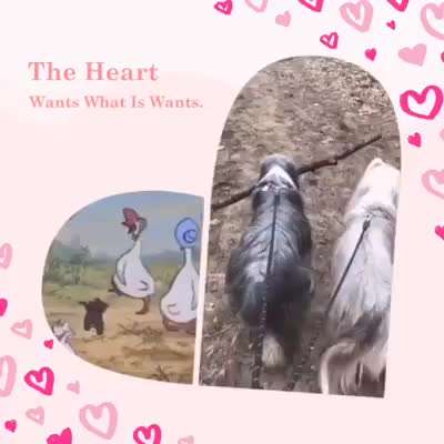 Die Dogorama Wochen Challenge "Friends will be Friends"-Beitrag-Bild