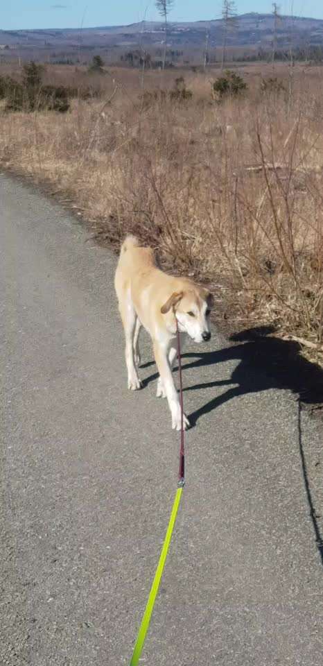 Plötzlich teilnahmslos und desinteressiert-Beitrag-Bild