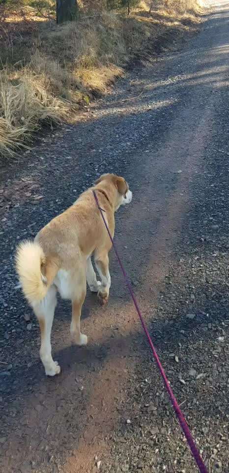 Plötzlich teilnahmslos und desinteressiert-Beitrag-Bild