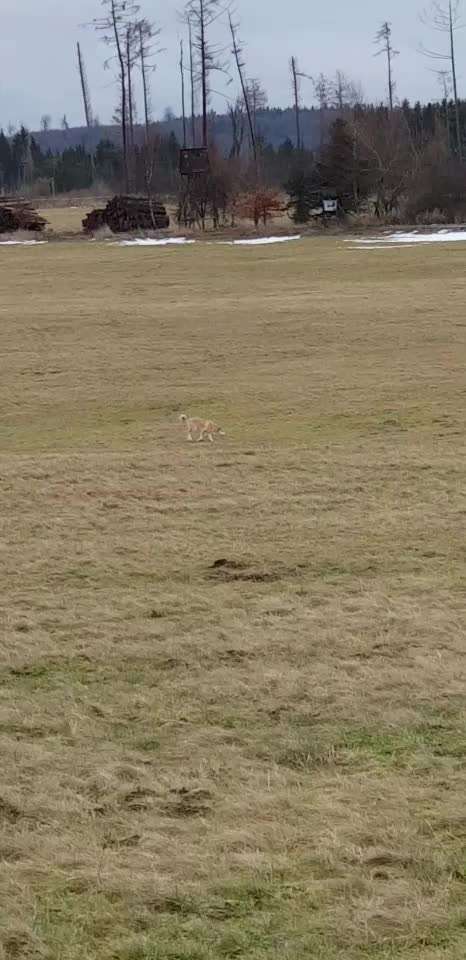 Plötzlich teilnahmslos und desinteressiert-Beitrag-Bild