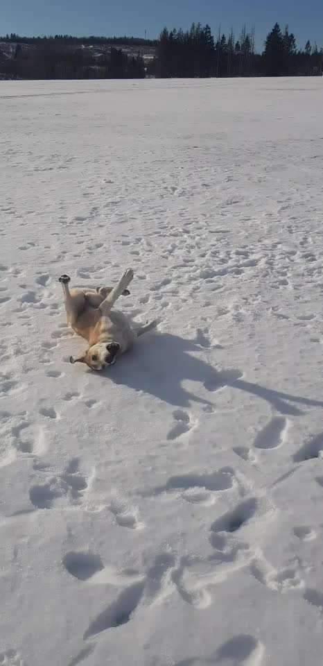 Plötzlich teilnahmslos und desinteressiert-Beitrag-Bild