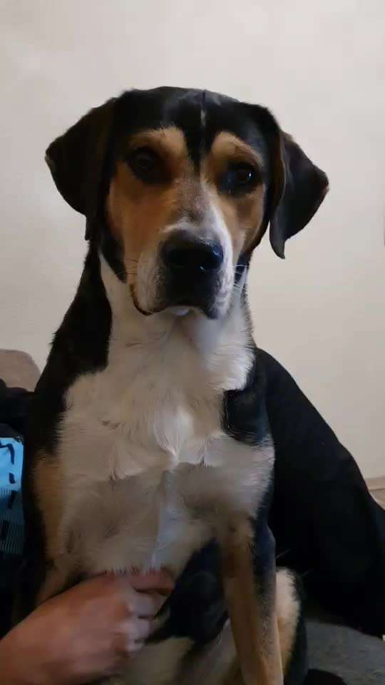 Lieblingsbild :D-Beitrag-Bild