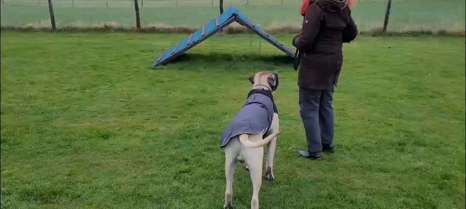 Trick Challenge ABC-Beitrag-Bild