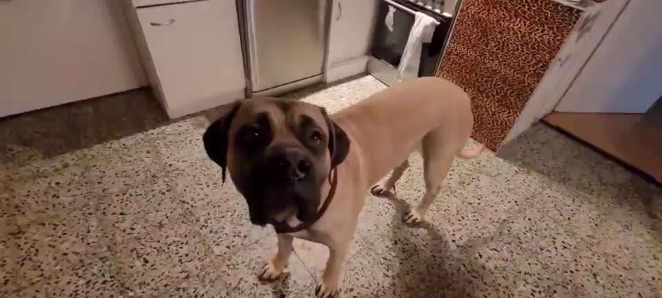 Trick Challenge ABC-Beitrag-Bild