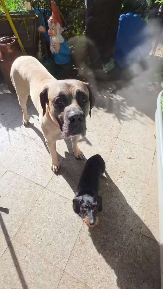 aktuelles Foto Gruppe Trickkiste