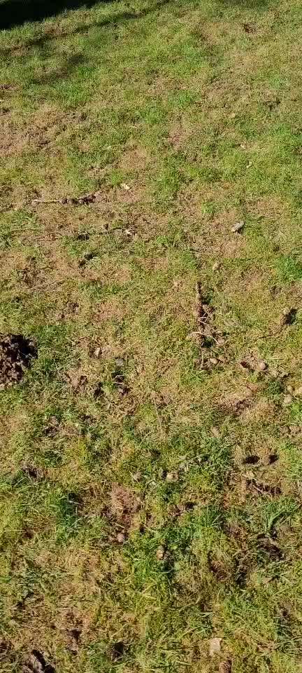 Trick Challenge Nr.5-Beitrag-Bild