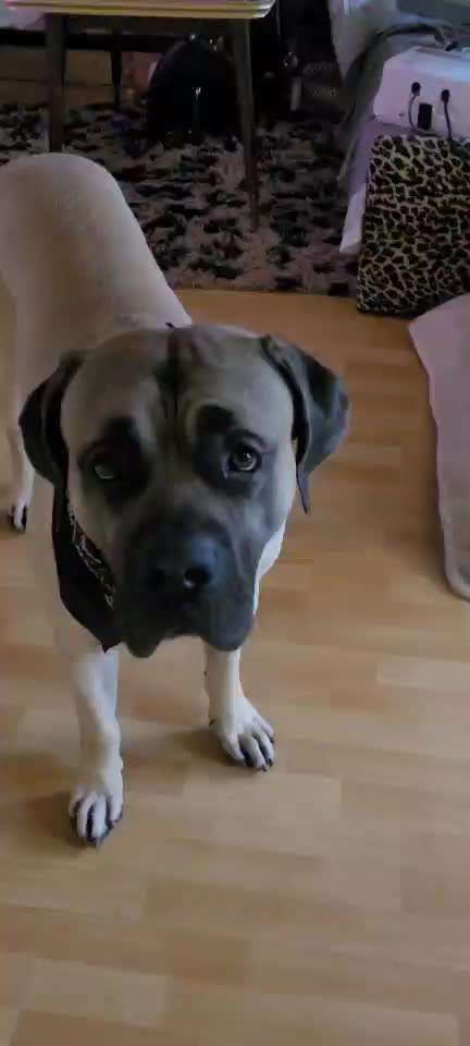 Trick Challenge ABC-Beitrag-Bild