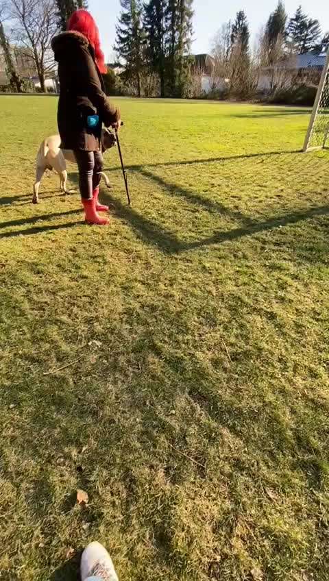 Trick Challenge Nr.5-Beitrag-Bild