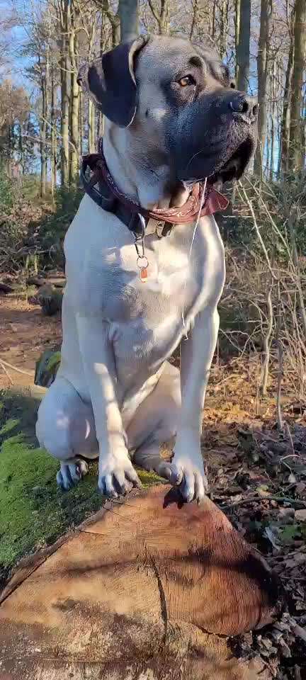 Trick Challenge ABC-Beitrag-Bild