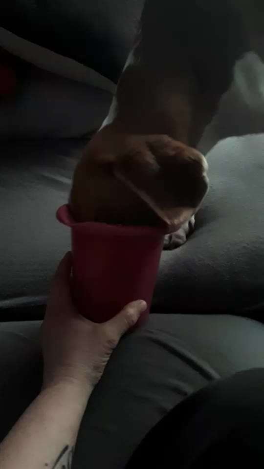 Hier ist der Spaßthread. Zum Schmunzeln und Kaputtlachen-Beitrag-Bild