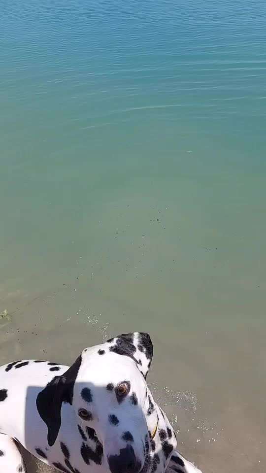 Wasserarbeit-Beitrag-Bild