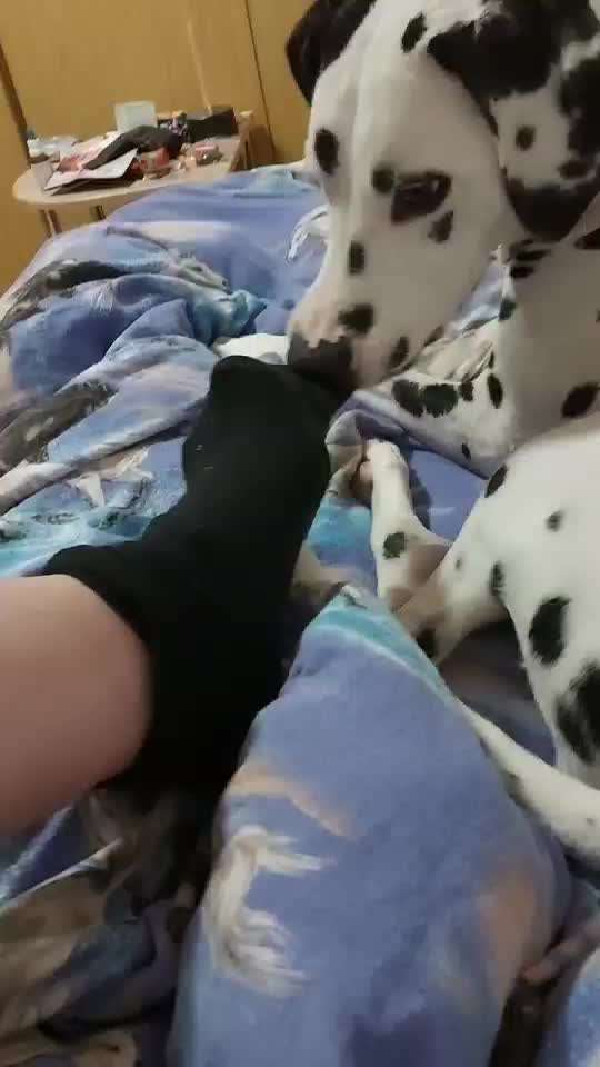 Trick Challenge Nr 27: Socken ausziehen-Beitrag-Bild