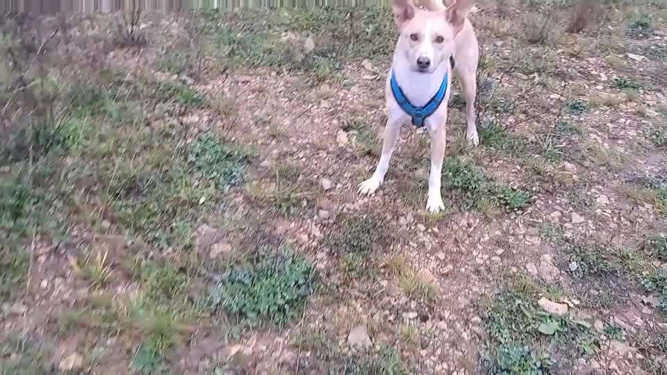 Orthopädisch oder Magen/Darm?-Beitrag-Bild