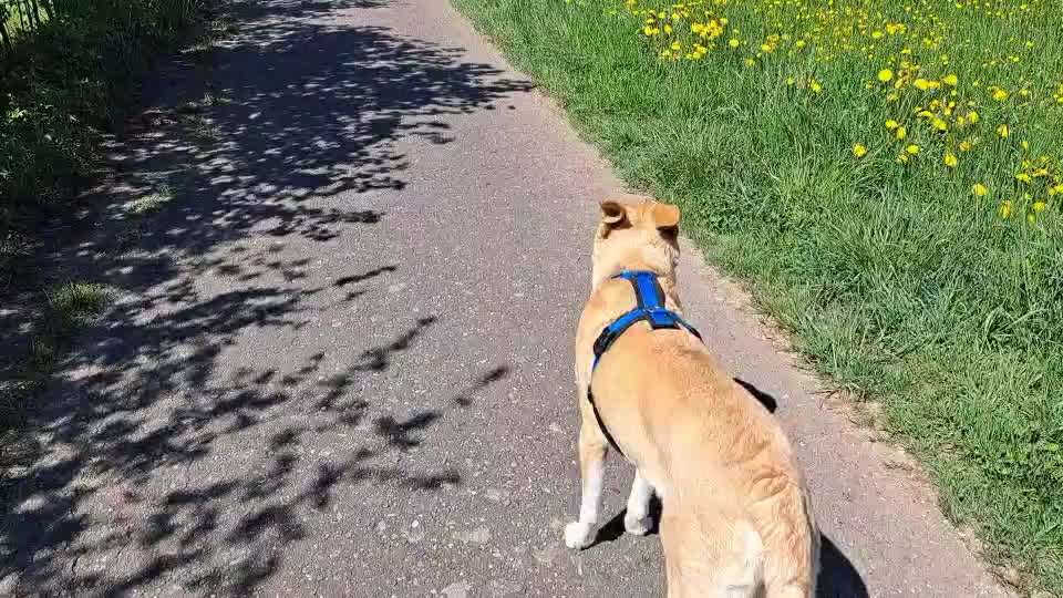 Orthopädisch oder Magen/Darm?-Beitrag-Bild