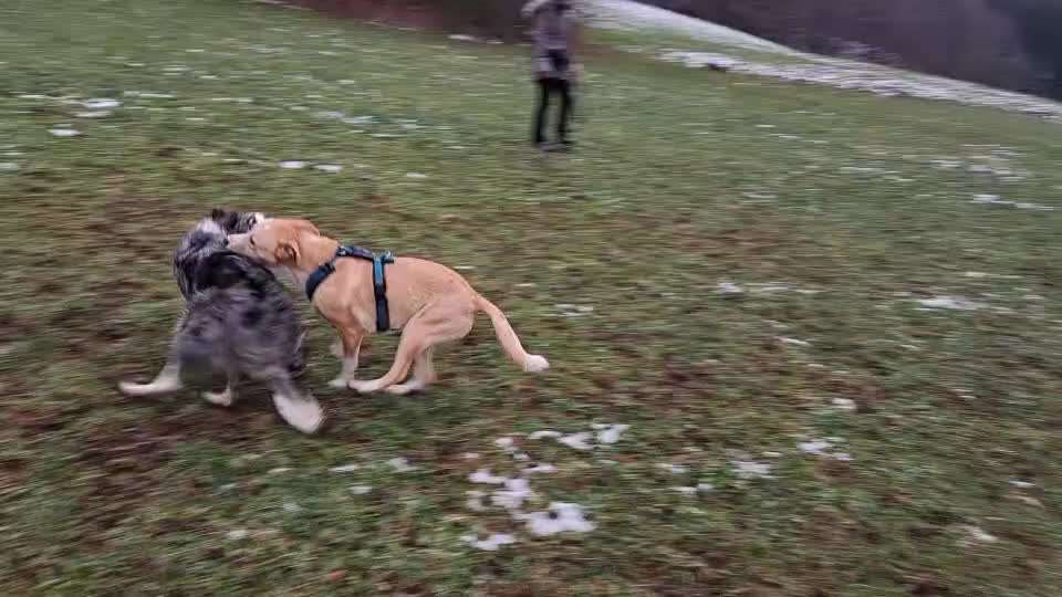 Orthopädisch oder Magen/Darm?-Beitrag-Bild