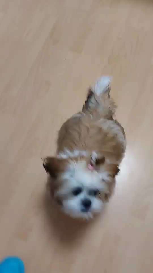 𝕋ℝ𝕀ℂ𝕂 ℂℍ𝔸𝕃𝕃𝔼ℕ𝔾𝔼 ℕℝ. 𝟙-Beitrag-Bild