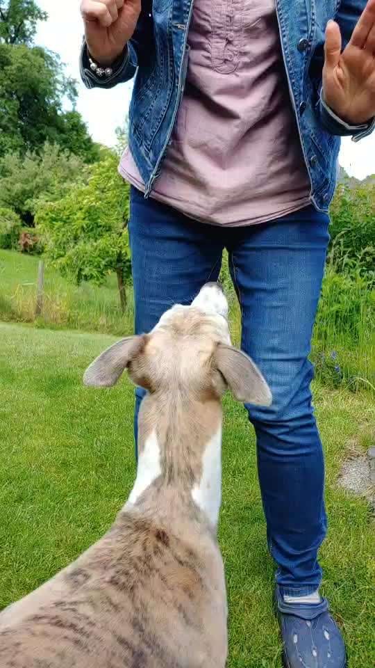 FUN AUFGABEN TOUR-Beitrag-Bild