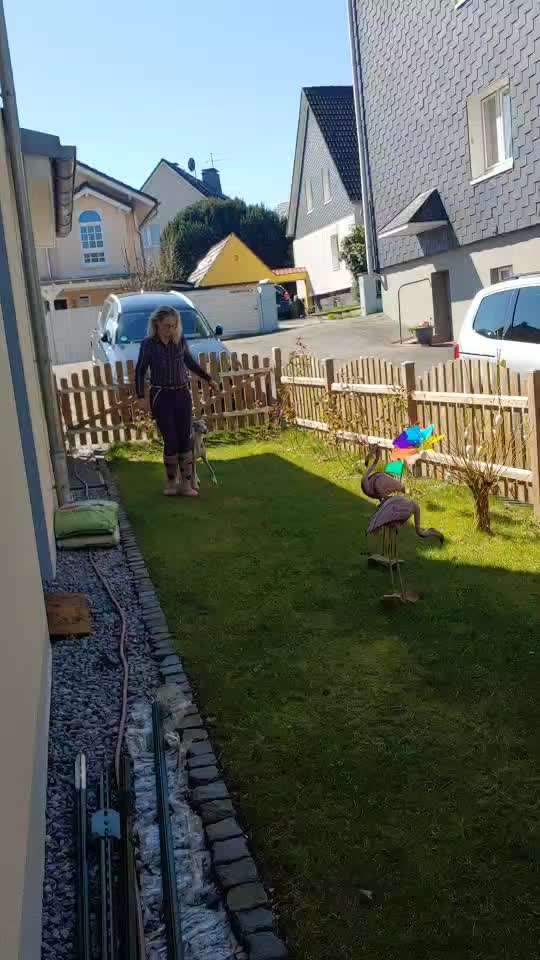 Windhunde - Treffen der besonderen Schönheiten
HERZLICH WILLKOMMEN-Beitrag-Bild