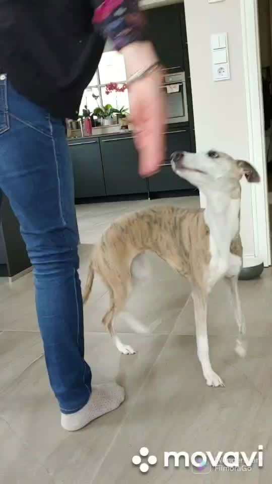 FUN AUFGABEN TOUR-Beitrag-Bild