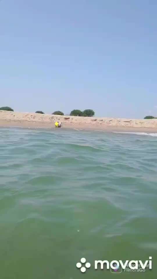 Windhunde - Treffen der besonderen Schönheiten
HERZLICH WILLKOMMEN-Beitrag-Bild