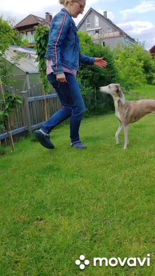 FUN AUFGABEN TOUR-Beitrag-Bild