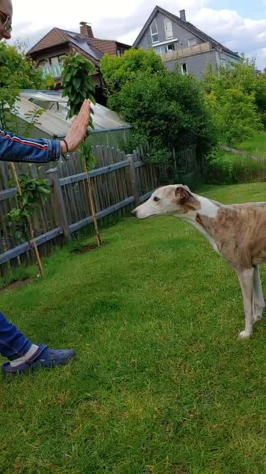 FUN AUFGABEN TOUR-Beitrag-Bild