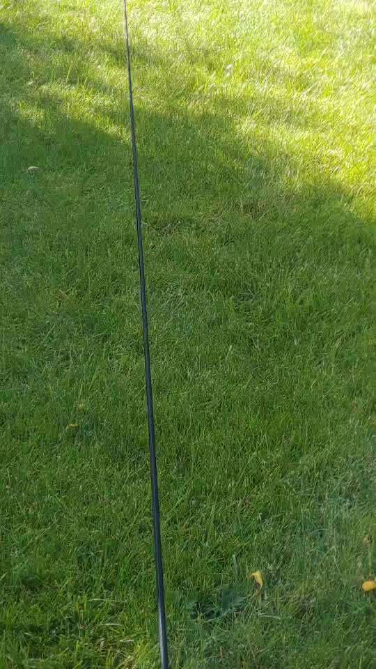 Windhunde - Treffen der besonderen Schönheiten
HERZLICH WILLKOMMEN-Beitrag-Bild