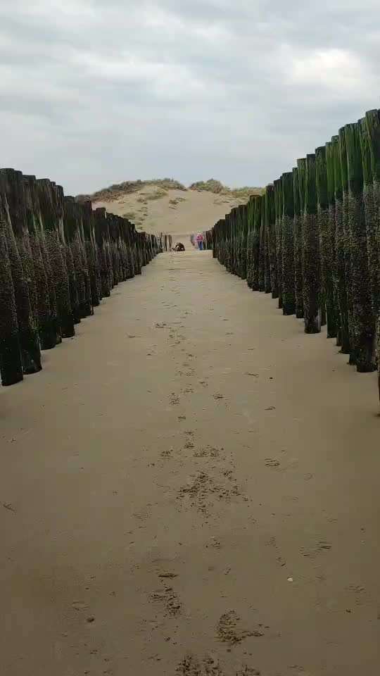 Windhunde - Treffen der besonderen Schönheiten
HERZLICH WILLKOMMEN-Beitrag-Bild